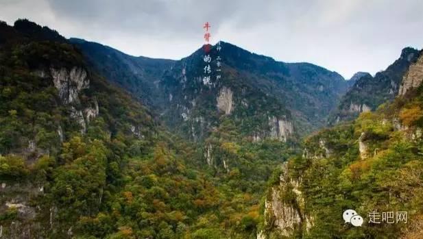 QQ三国